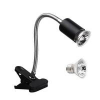 Lampe chauffante pour reptiles 75W Lampe chauffante pour tortue