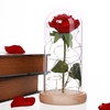 Lampe de décoration bricolage avec couvercle interne en verre