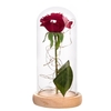 Lampe de décoration bricolage avec couvercle interne en verre
