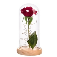 Lampe de décoration bricolage avec couvercle interne en verre