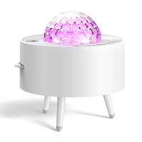 Lampe de projection étoilée à LED Décor de chambre Éclairage coloré Lampe de ciel étoilé BT avec trépied 14 modes d