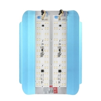 Lampe de tungstène iodé à la lumière crue AC110-130V 100W 96LED
