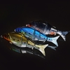 Lixada 12.5cm / 5 "21g Leurre de Pêche Bionique Multi Jointé Appât Vivant Dur Swimbait