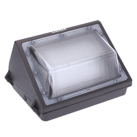 Lixada 60W 60PCS LED 5880LM 200W / 250W HPS / MH IP65 applique murale extérieure étanche