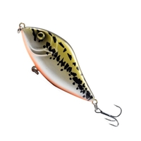 LIXADA Minnow Crankbait leurres de pêche durs avec crochet triple appât de pêche réaliste appât de pêche 3D yeux appâts artificiels 3.9 in / 1.6 oz