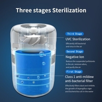 Élément filtrant pour purificateur d