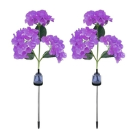 Lot de 2 lampes solaires d