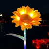 Lot de 2 lampes solaires LED tournesol dégradé coloré lampes de jardin blanc chaud lampe décorative étanche marche/arrêt automatique lampe de paysage pour terrasse extérieure pelouse mariage fête cour