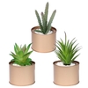 Lot de 3 faux pots de plantes succulentes en pot bricolage mini ensembles de plantes de simulation artificielle