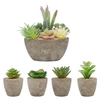Lot de 5 pots de plantes succulentes faux ensembles de plantes de simulation artificielles de plantes succulentes fluides