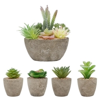 Lot de 5 pots de plantes succulentes faux ensembles de plantes de simulation artificielles de plantes succulentes fluides