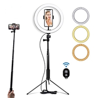Lumière de remplissage de 20cm Lumière supplémentaire de lumière LED Lumière de remplissage pliante