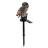 Lumière solaire de hibou avec la résistance de l