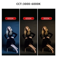 LUXCEO P200 LED Light Handheld RGB Light Tube Stick Vidéo Soft Photography Light APP Télécommande CRI 95 500 Lumens Réglable 3000K-6000K avec Télécommande