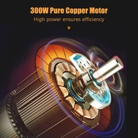 Machine de taille de pelouse 12V à épurer les herbiers sans fil pour jardin et jardin (2 piles PCS)