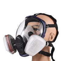 Masque à gaz Sprays chimiques Peinture Anti-formaldéhyde Masque à charbon actif Filtres complets en silicone Sécurité respirante Bouclier facial complet Couverture de protection transparente
