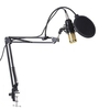 Microphone à condensateur BM800 Allumé Pro Audio Enregistrement et Brocasting Réglable Micro Suspension Bras de Ciseaux Filtre Pop Rose