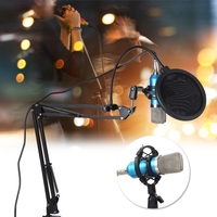 Microphone à condensateur professionnel BM700 Microphone d