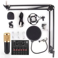 Microphone à condensateur professionnel d
