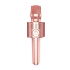 Microphone KTV portable professionnel H36 Microphone karaoké BT sans fil Microphone de téléphone portable