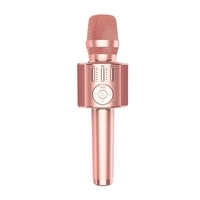 Microphone KTV portable professionnel H36 Microphone karaoké BT sans fil Microphone de téléphone portable