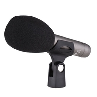 Microphone professionnel à condensateur TAKSTAR CM-60 Micro cardio de XLR