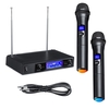 Microphones karaoké UHF Professional 2 CH sans fil double microphone à main numérique LCD système d