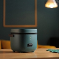 Mini cuiseur à riz 1.2L cuiseur électrique avec vapeur un bouton contrôle de qualité alimentaire Non collant Liner ragoût/vapeur/bouillir Machine de cuisson