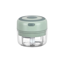Mini hachoir à ail électrique domestique (100 ml)