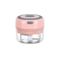 Mini hachoir à ail électrique domestique (100 ml)