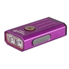Mini lampe de poche avec lampe à main rechargeable IP66 à lumière UV/rouge pour la randonnée en camping à la recherche d