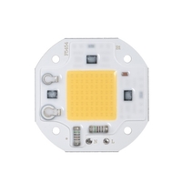 Mini-lampe portative à puce blanche COB AC220V 20W