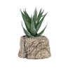 Mini plantes succulentes fraîches Simulation rempotage émulation plantes en pot bonsa ornement décoration de bureau