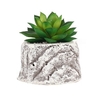 Mini plantes succulentes fraîches Simulation rempotage émulation plantes en pot bonsa ornement décoration de bureau