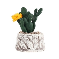 Mini plantes succulentes fraîches Simulation rempotage émulation plantes en pot bonsa� ornement décoration de bureau