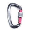 Mousqueton avec porte de verrouillage à vis Clips de mousqueton robustes 25KN pour hamacs Camping randonnée sac à dos
