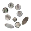 Muslady 9pcs Saxophone Buttons Shell Material Set of 9pcs Sax Key Buttons for Alto Saxophone