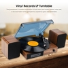 MZL-ZH101 Tourne-disque rétro Disques vinyle LP Tourne-disque avec haut-parleurs d