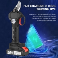 Nanwei 21V Brushless Sécateur électrique sans fil rechargeable 10Ah Lithium Battery Powered Tree Branch Sécateur Garden Clippers 30mm Diamètre de coupe avec lame de rechange 2000mAh