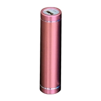 Nouveau boîtier de chargeur de téléphone de batterie USB portable Kit de boîte de bricolage doré