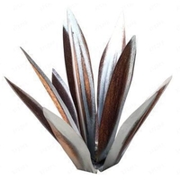 Nouveaux ornements de plantes d