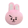 Oreiller bourré doux de BTS de beau dessin animé