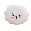 Oreiller bourré doux de BTS de beau dessin animé