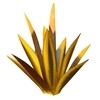 Ornements transfrontaliers de plantes d