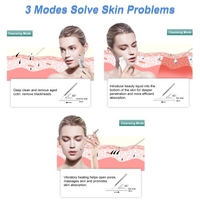 Pelle à ultrasons Épurateur de peau pour le visage Spatule pour la peau Nettoyant pour les pores Chauffant Nettoyage du visage pour les points noirs,  l