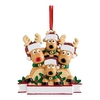 Pendentif personnalisé de famille de renne T-shirt de Noël Décoration suspendue Cadeau de Noël de famille