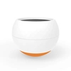 Pet Dog Feeder Slow Food Eating No Spill Bowl Pet Pet Tumbler Anti-Choking Dog Feeding Bowl for Dogs Cats Pets