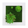 Plantes de Simulation artificielles Tenture murale 3D/Fleurs de bureau Cadre photo de plantes artificielles pour le cadeau de décoration murale de bureau à domicile
