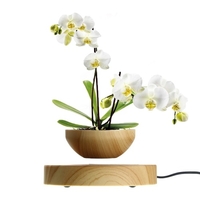 Pot de fleurs à lévitation magnétique Air Bonsai Pot
