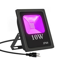 Projecteur LED Blacklight 10W Blacklight avec prise